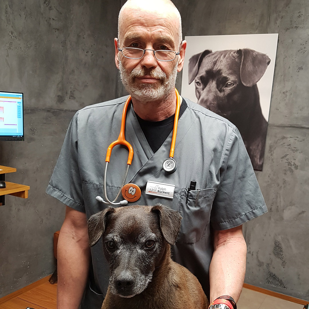 Tierarzt Ralph Rückert mit einem Hund in der Praxis